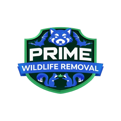 Animal Removal Crawfordsville